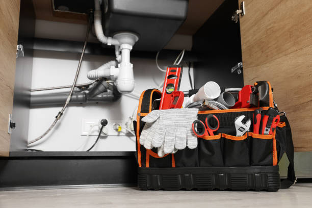 Best Commercial Plumbing Services  in Braselton, GA